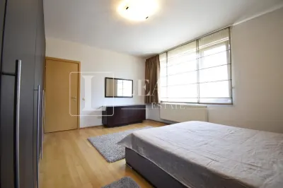 Inchiriere apartament I Zona Herastrau - foto 14