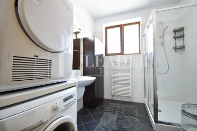 Inchiriere apartament I Zona Herastrau - foto 23
