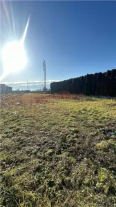 Teren extravilan cu PUZ in lucru, 14 ari - zona Independentei - foto 6