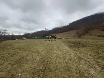 1.3 haTeren si  Casa Luncoiu de Jos - foto 2