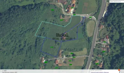 1.3 haTeren si  Casa Luncoiu de Jos - foto 20