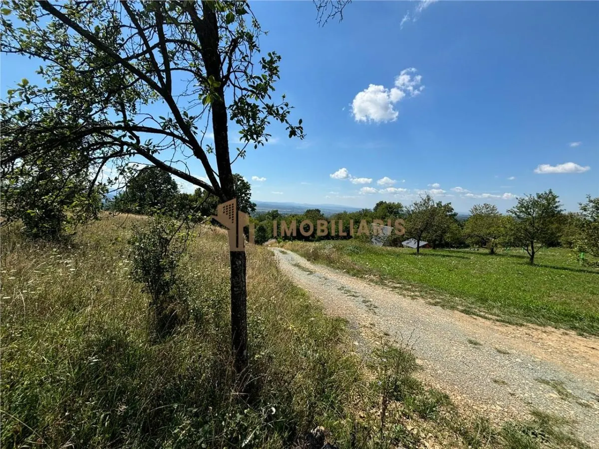 Teren intravilan Sisesti - foto 1