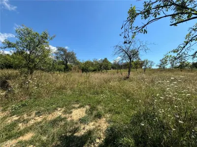 Teren intravilan Sisesti - foto 2