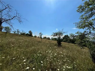 Teren intravilan Sisesti - foto 3