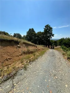 Teren intravilan Sisesti - foto 4