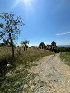 Teren intravilan Sisesti - foto 7
