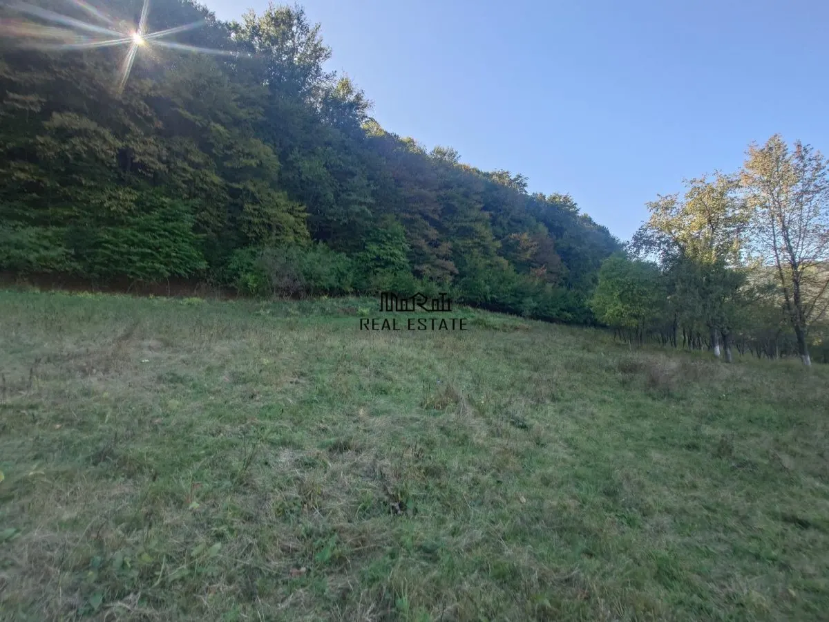 5,6 ha terenuri si padure in Criscior - foto 1