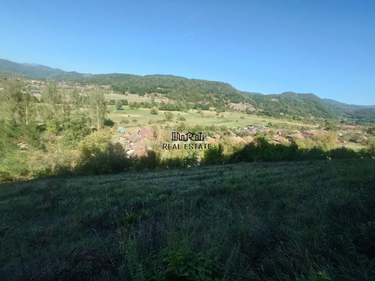 5,6 ha terenuri si padure in Criscior - foto 2