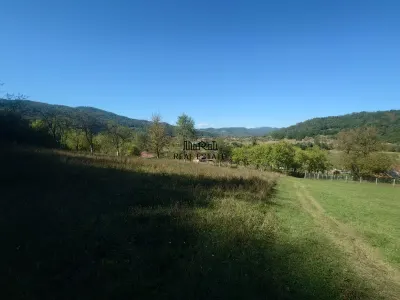 5,6 ha terenuri si padure in Criscior - foto 5