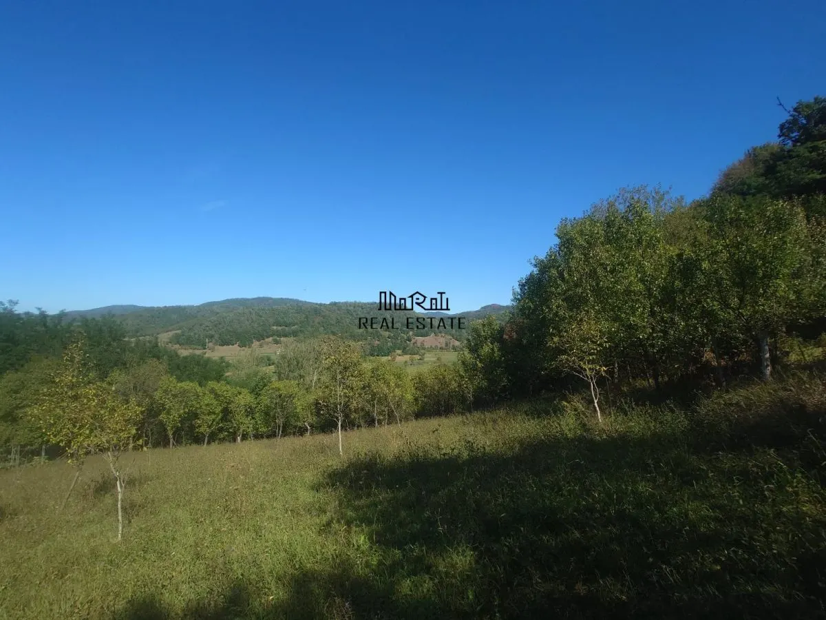 5,6 ha terenuri si padure in Criscior - foto 6