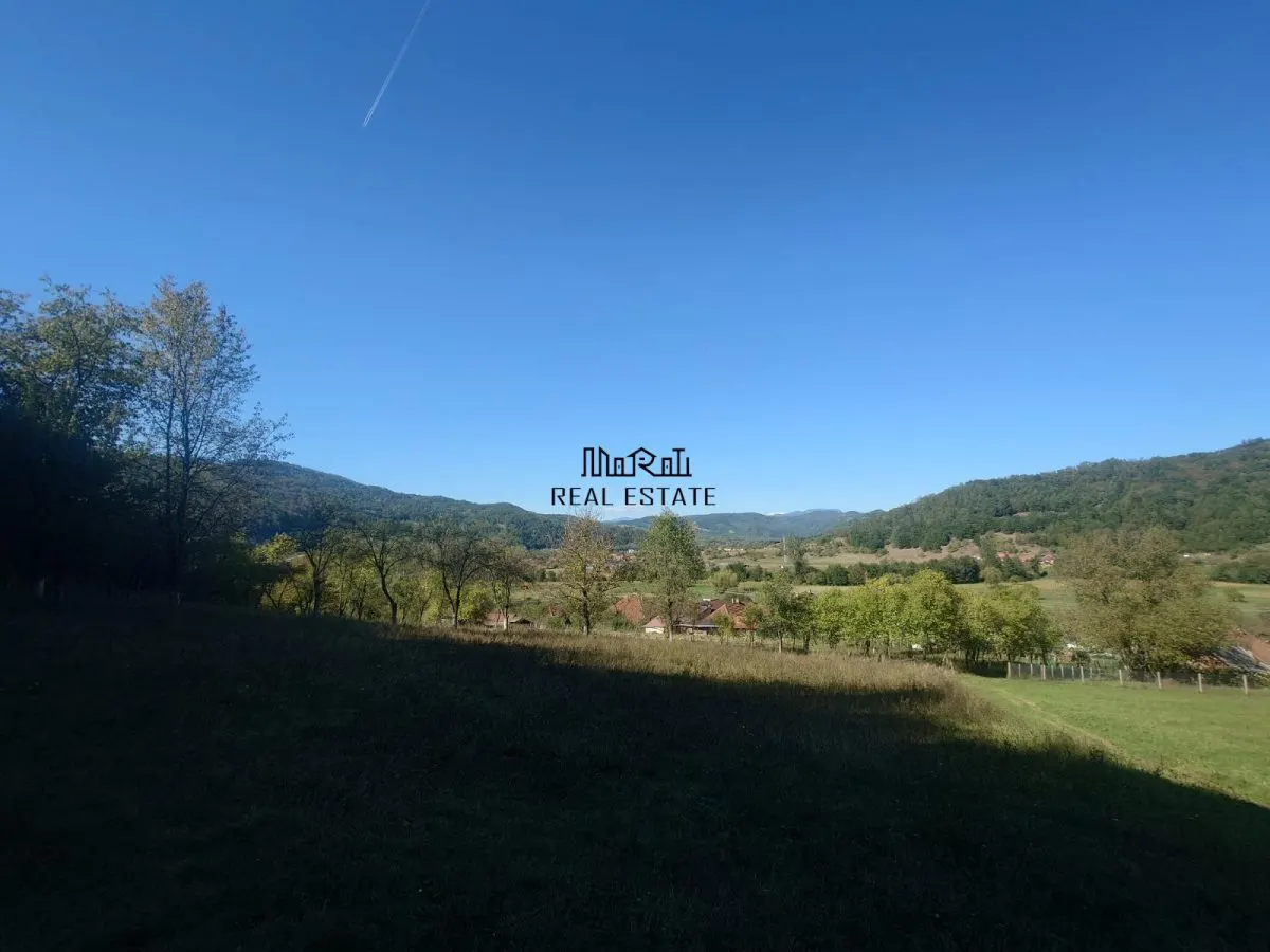 5,6 ha terenuri si padure in Criscior - foto 8