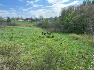Terenuri extravilane in Luncoiu de Sus, Hunedoara - Luncoiu de Sus