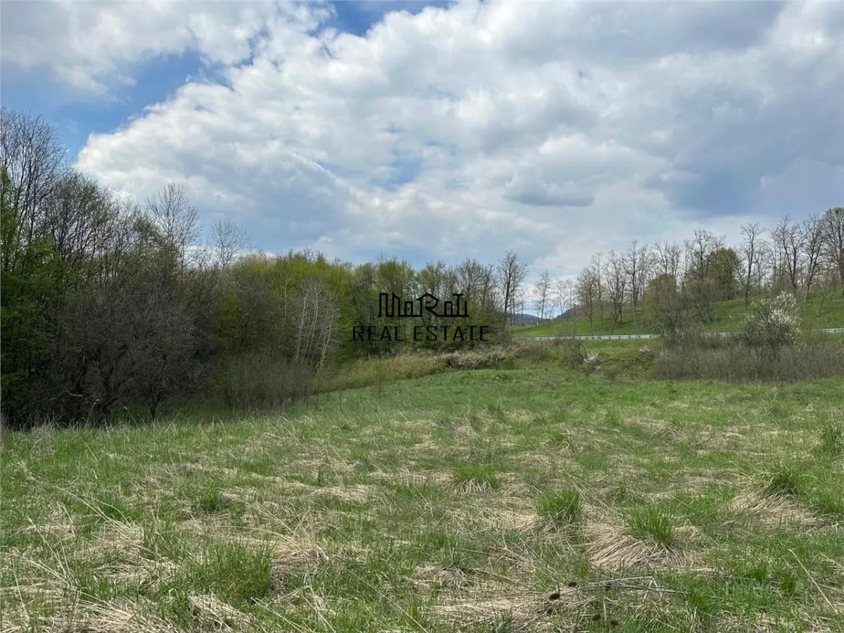 Terenuri extravilane in Luncoiu de Sus, Hunedoara - foto 2
