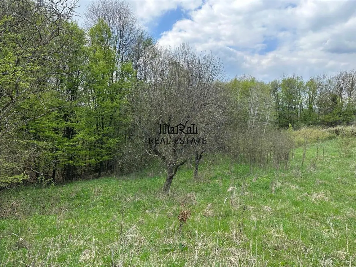 Terenuri extravilane in Luncoiu de Sus, Hunedoara - foto 3