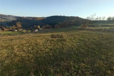 Terenuri extravilane in Luncoiu de Sus, Hunedoara - foto 5