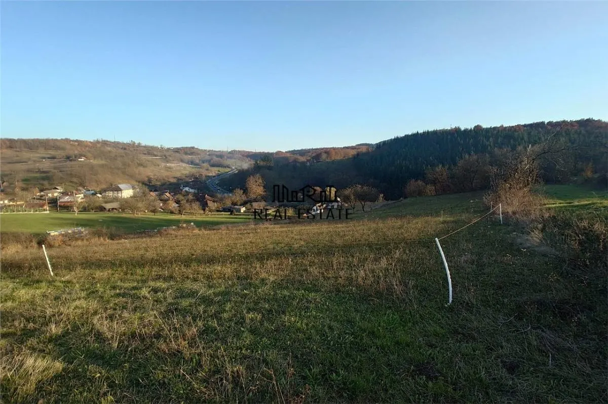 Terenuri extravilane in Luncoiu de Sus, Hunedoara - foto 6
