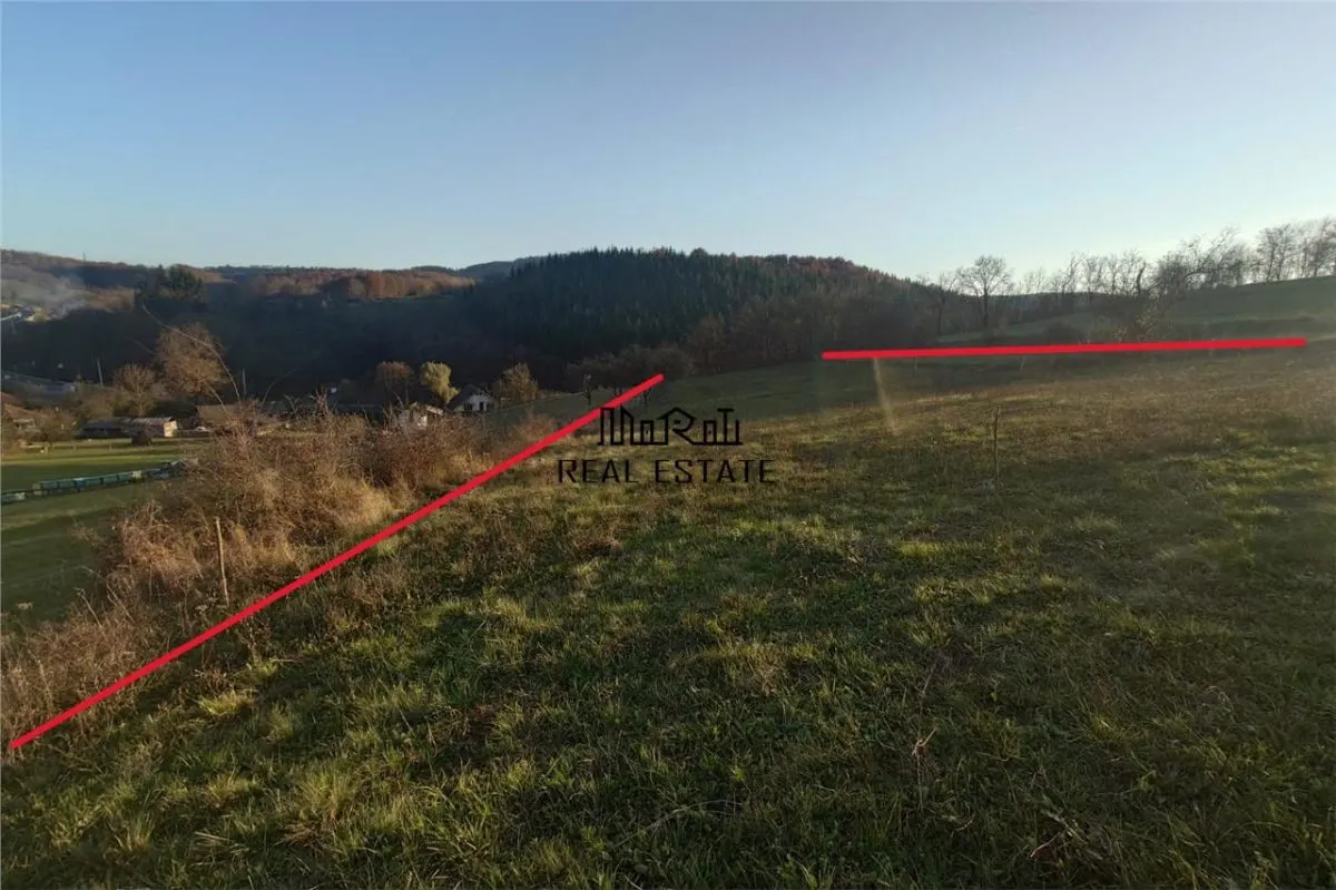 Terenuri extravilane in Luncoiu de Sus, Hunedoara - foto 7