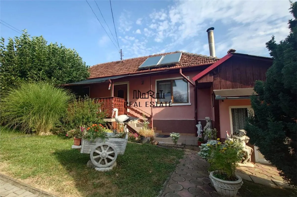 Casa cu Gradina, Parc si Priveliste in Brad, Jd. Hd - foto 4