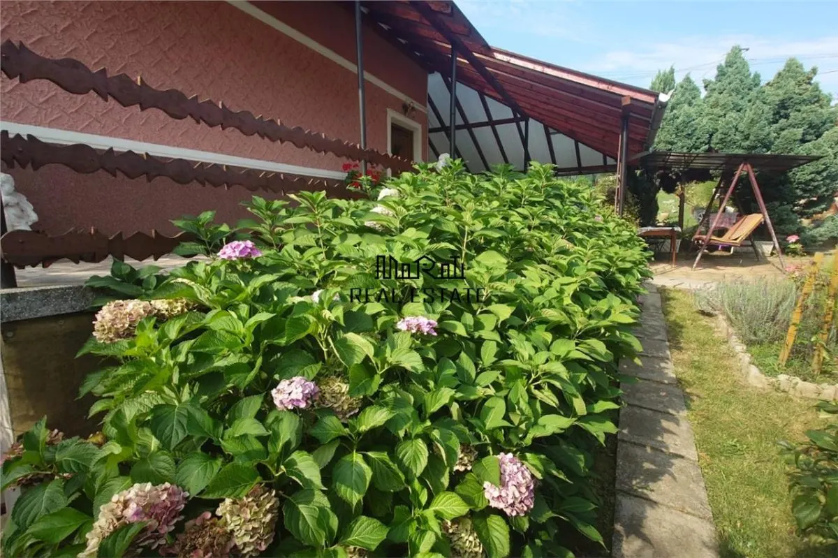 Casa cu Gradina, Parc si Priveliste in Brad, Jd. Hd - foto 10