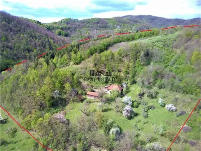Domeniu de 7 ha in Apuseni - Criscior, Hunedoara - foto 2