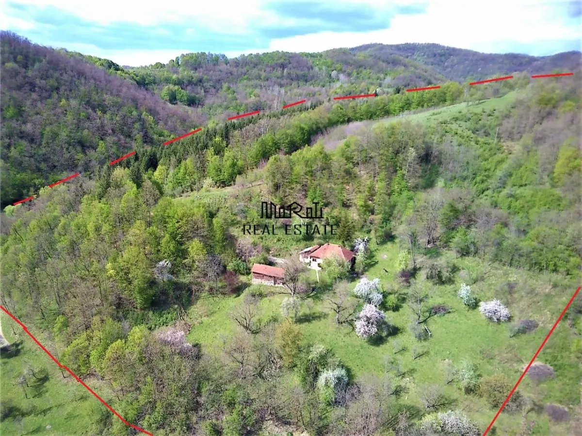 Domeniu de 7 ha in Apuseni - Criscior, Hunedoara - foto 2