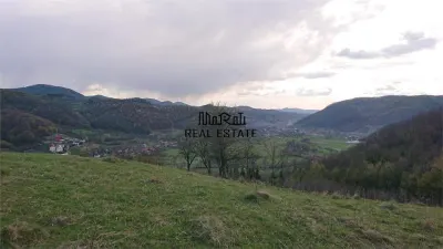 Domeniu de 7 ha in Apuseni - Criscior, Hunedoara - foto 8