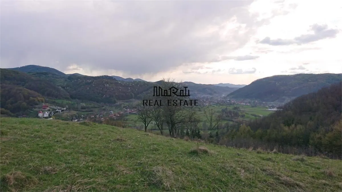 Domeniu de 7 ha in Apuseni - Criscior, Hunedoara - foto 8