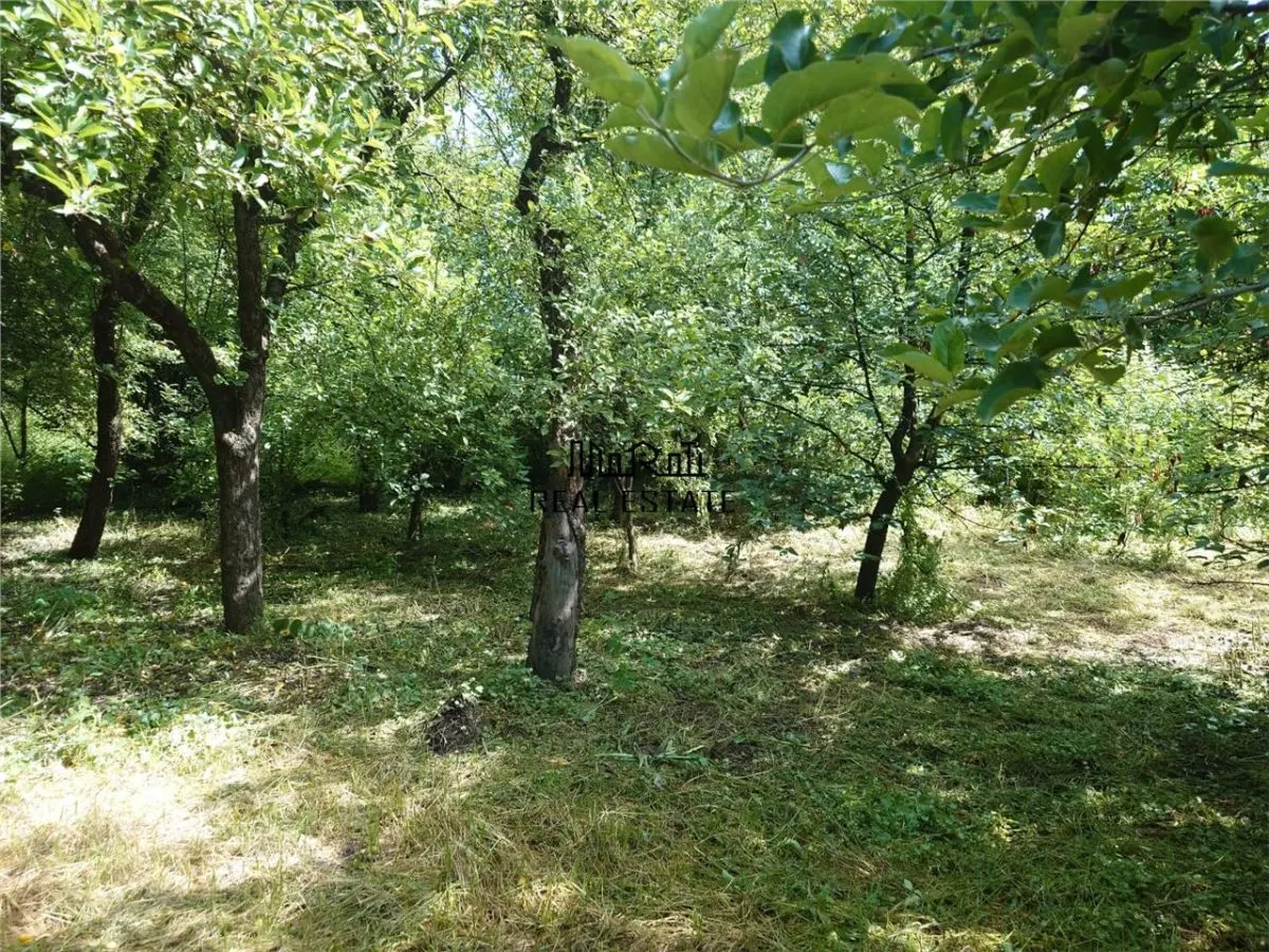 Casa, anexe si teren amplasate central in municipiul Brad - foto 9