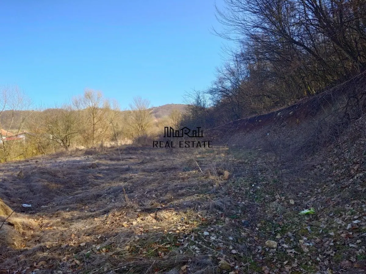 Teren intravilan la liziera padurii - foto 1