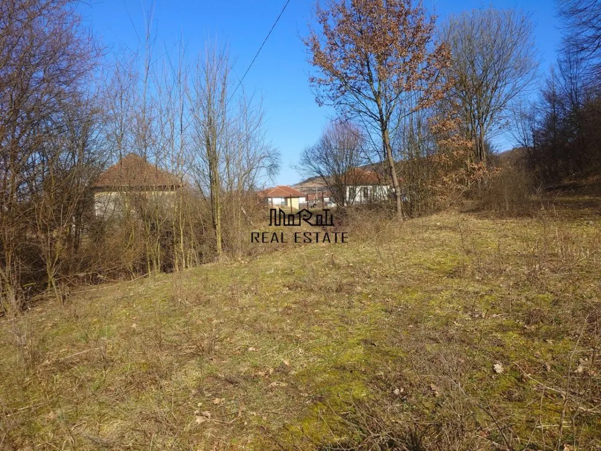 Teren intravilan la liziera padurii - foto 8