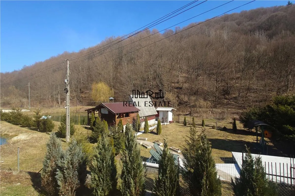 Iaz de vanzare in Apuseni- cazare, agrement si pescuit la DN74 - foto 2