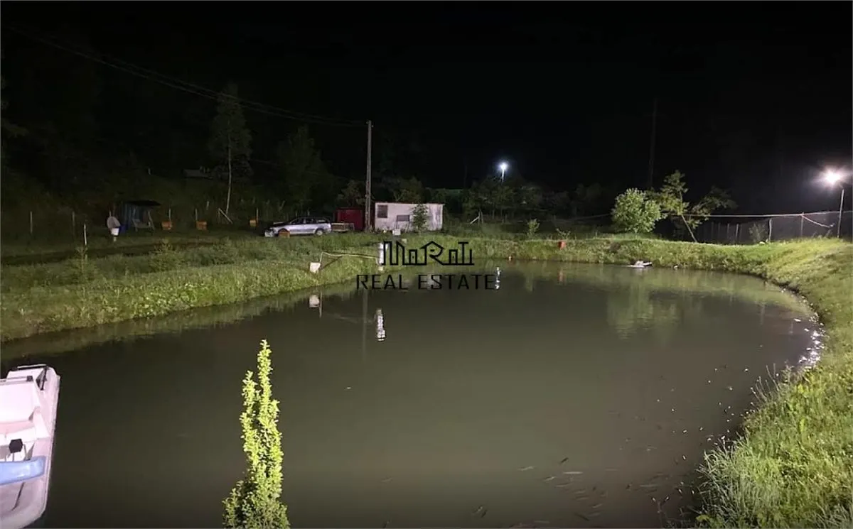 Iaz de vanzare in Apuseni- cazare, agrement si pescuit la DN74 - foto 11