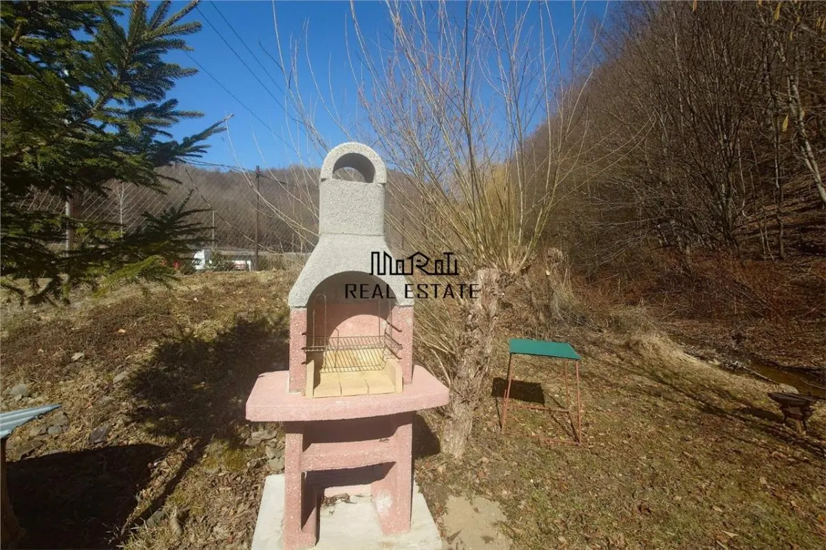 Iaz de vanzare in Apuseni- cazare, agrement si pescuit la DN74 - foto 16