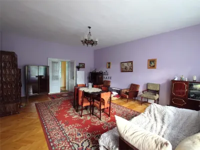 Casa cu aer nobil in Baia de Cris - foto 11