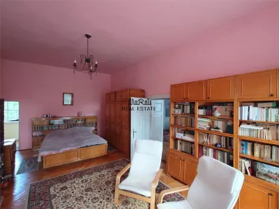 Casa cu aer nobil in Baia de Cris - foto 4