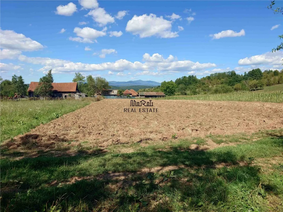 Teren intravilan pentru casa sau vacanta, Lunca, Baia de Cris - foto 3