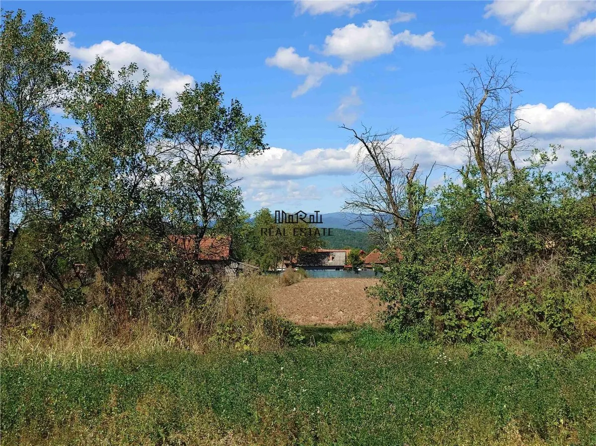 Teren intravilan pentru casa sau vacanta, Lunca, Baia de Cris - foto 5