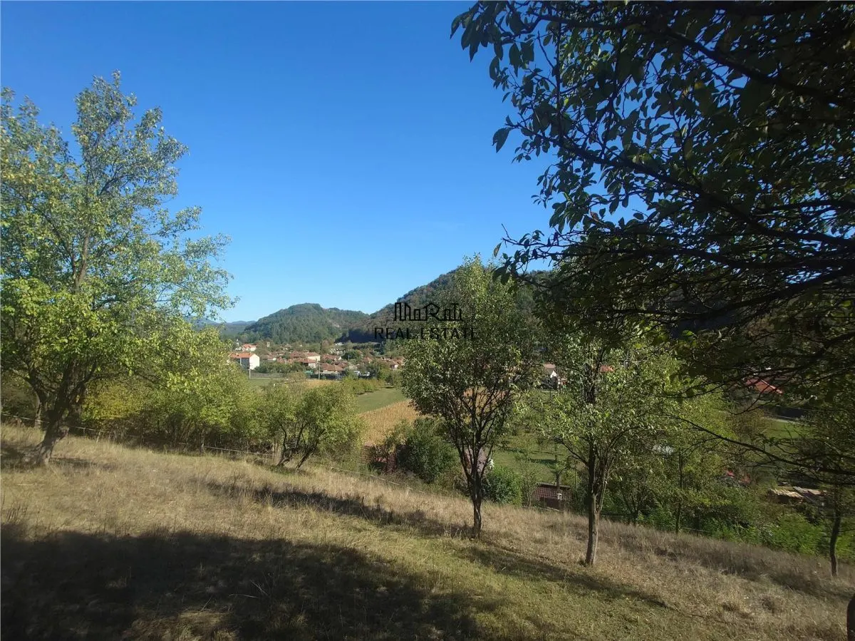 14075 mp teren cu acces la utilitati - Criscior - foto 1