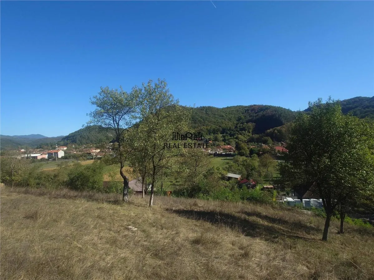 14075 mp teren cu acces la utilitati - Criscior - foto 2
