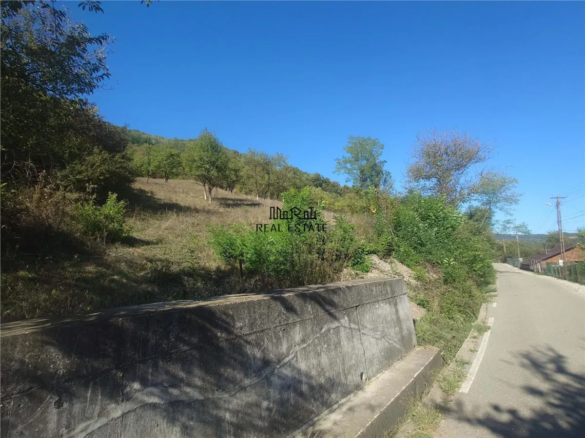 14075 mp teren cu acces la utilitati - Criscior - foto 5