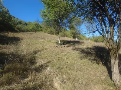 14075 mp teren cu acces la utilitati - Criscior - foto 8