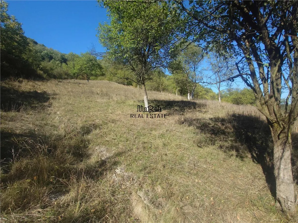 14075 mp teren cu acces la utilitati - Criscior - foto 8