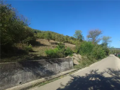 14075 mp teren cu acces la utilitati - Criscior - foto 9