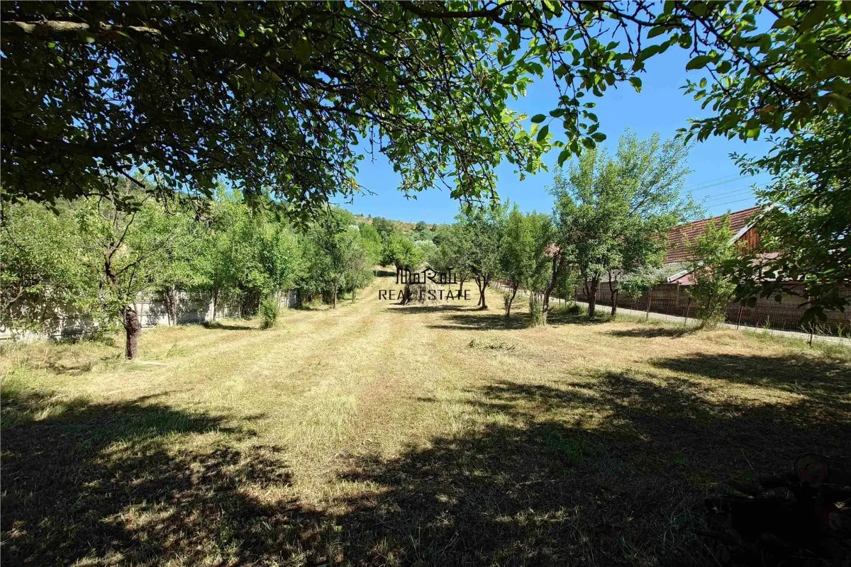 Gospodarie cu teren generos si constructii solide intr-o zona linistita - foto 3