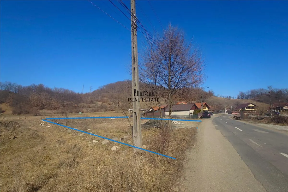Teren intravilan in Brad - foto 2