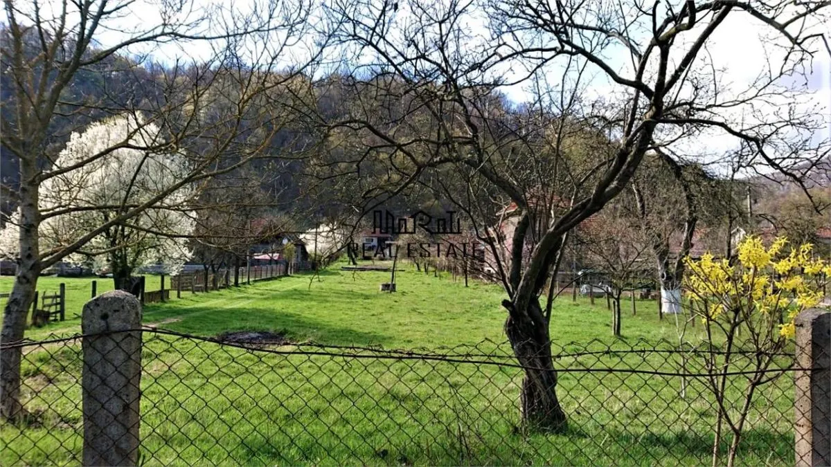 Casa si 3919 mp teren intravilan  in  Bucuresci, jud. Hunedoara - foto 6