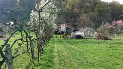 Casa si 3919 mp teren intravilan  in  Bucuresci, jud. Hunedoara - foto 7