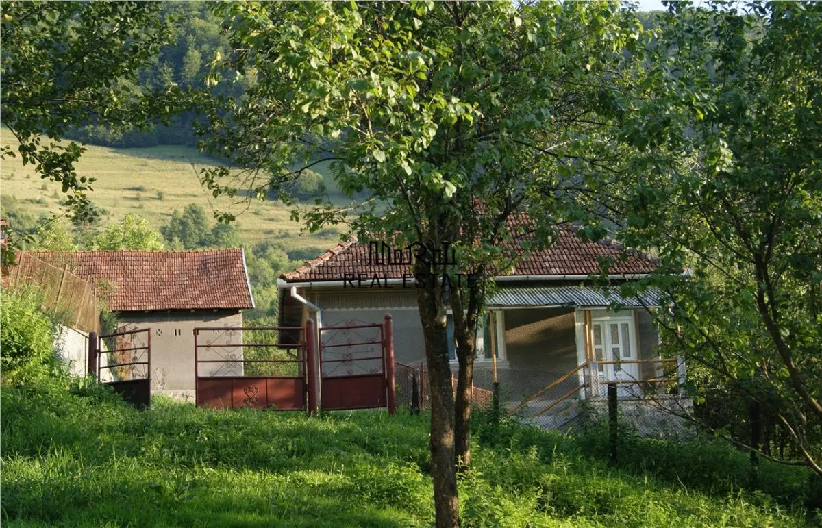 10 hectare teren plus casa la munte in Buces, Hunedoara - foto 1