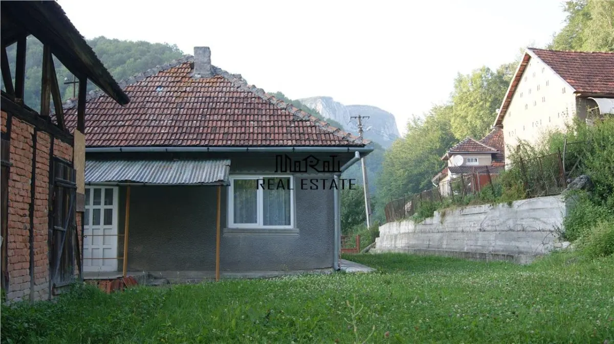10 hectare teren plus casa la munte in Buces, Hunedoara - foto 2