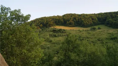 10 hectare teren plus casa la munte in Buces, Hunedoara - foto 11